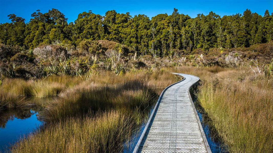 Hapuka Estuary Loop Walk.