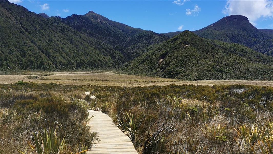 Wooden boardwalk with hills in distance.