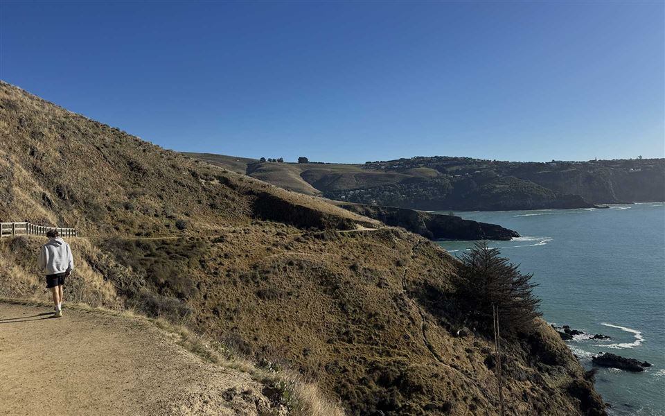 Walker on Awaroa/Godley Head Loop Track. 