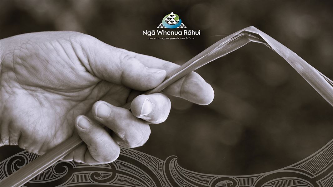 Hand holding flax and Ngā Whenua Rāhui logo.  