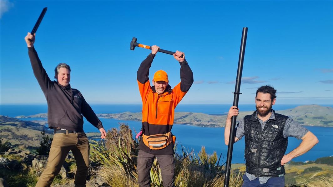 Three people hold tools for predator control while standing on a mountain.