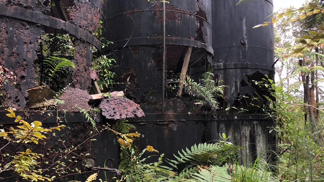 Ferns and seedlings grow out of the sides of rusting metal towers.