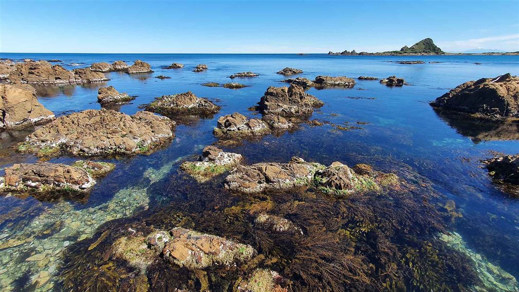 View of rocky, calm waters with an small island visible in the distance.