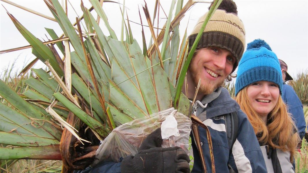 Two young adults carry a large plant.