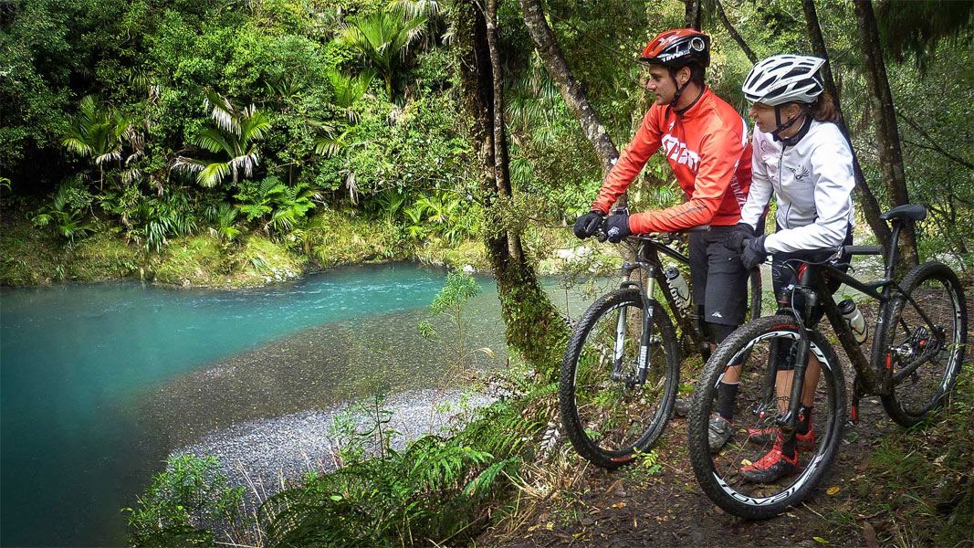 Cyclists enjoying scenery on Pakihi Track. 