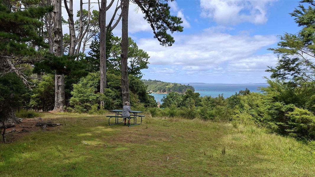 A person sits at a picnic table in a grassy clearing  overlooking the ocean.