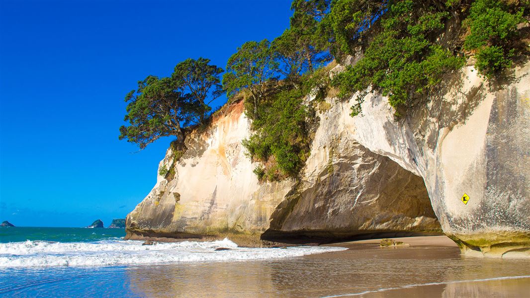 Stunning Mautohe Cathedral Cove archway with golden sand and a blue sky.