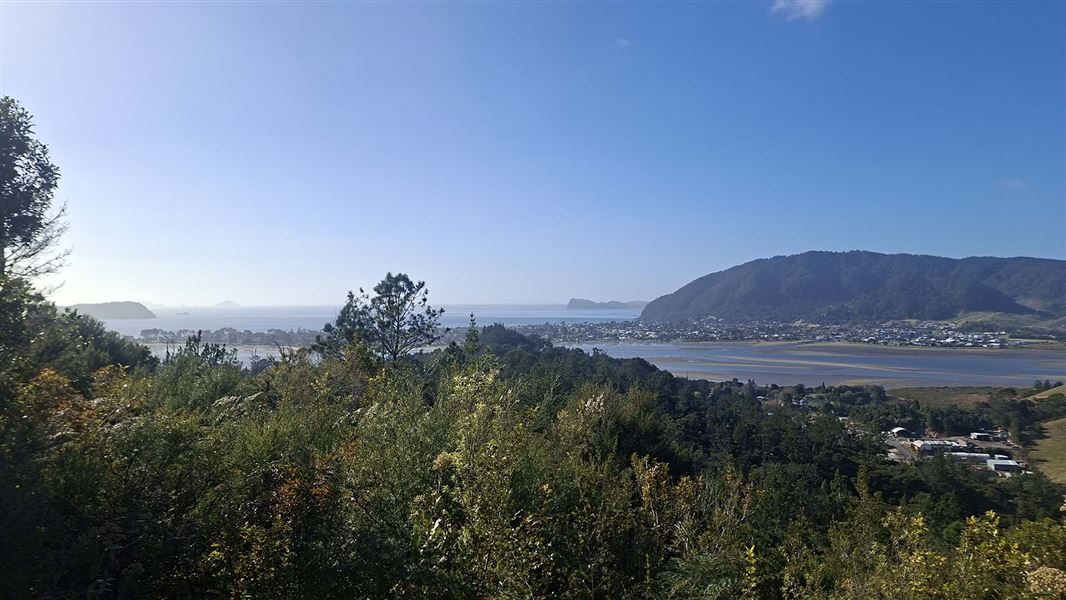 A view across trees to an estuary and small town.