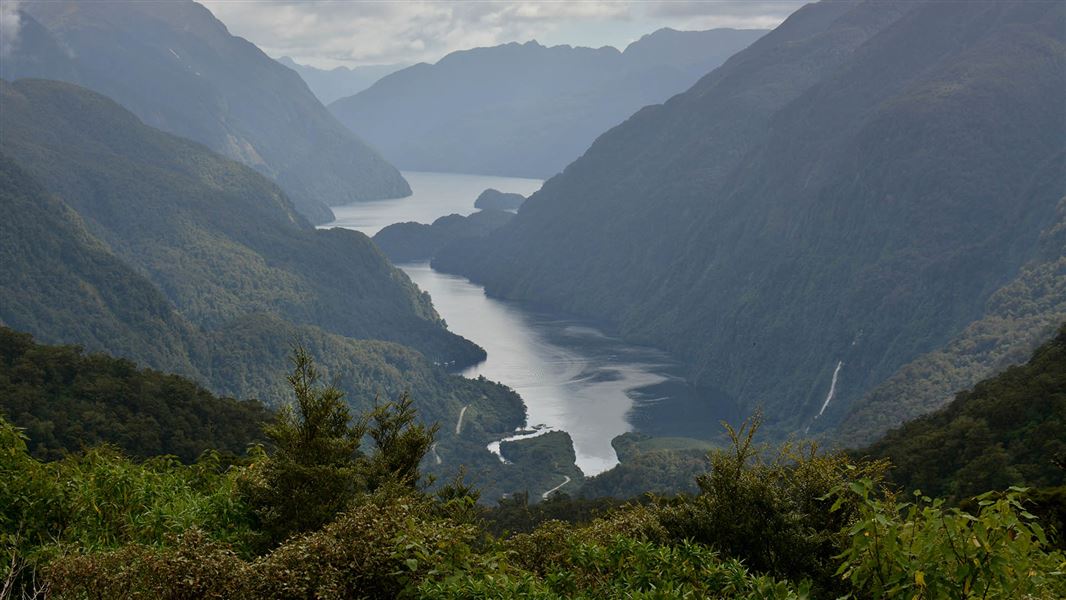 View from above of a bay surrounded by steep, bush-clad hills.