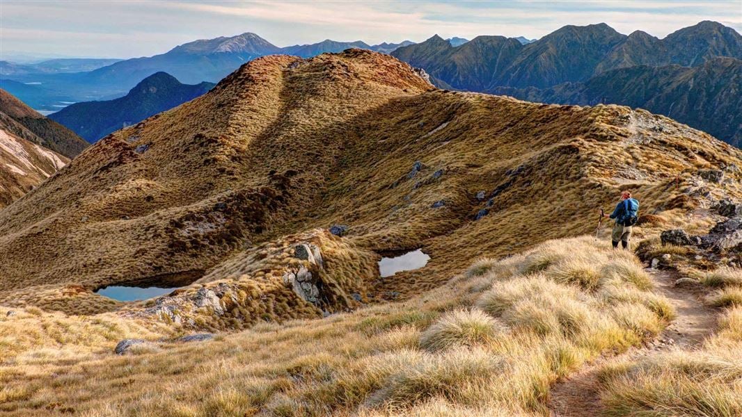 Kepler Track: Fiordland National Park, Fiordland region