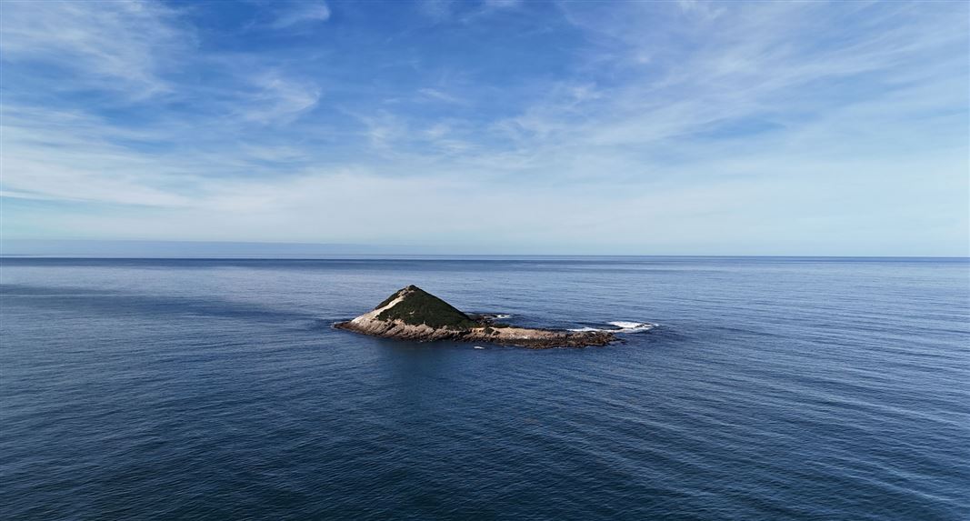 Small rocky island covered in low green vegetation surrounded by calm blue ocean beneath a clear sky.