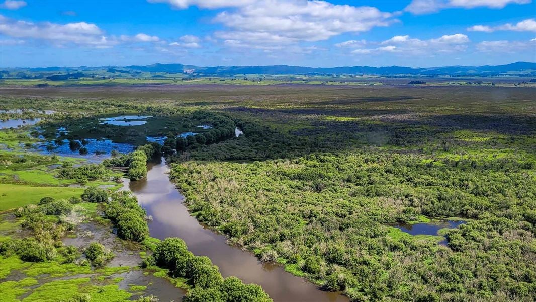 An aerial shot of flat, forested area thick with waterways.