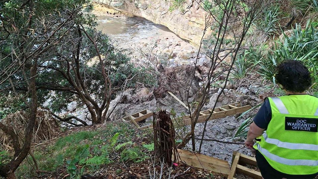 A person in hi vis looks down onot beach treefall and broken steps. 