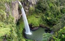 Waireinga/Bridal Veil Falls: Raglan area, Waikato region