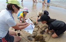 Conservation education