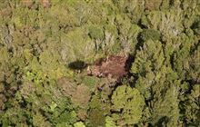 Bush clearance leads to DOC investigation