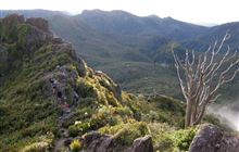 Kauaeranga Valley sites closed for work