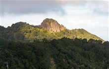 Kākāpō habitat and islands