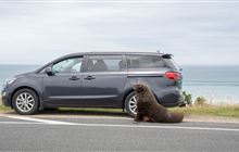 Pause for pakake this summer season