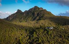 Kauaeranga Kauri Trail: Coromandel Forest Park, Coromandel region