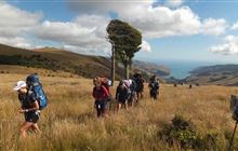 Rod Donald Hut to The Hilltop