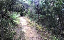 Middle Ridge Track