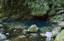 Te Puna Wai o Riuwaka/Riuwaka Resurgence