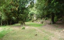 Poukaria Campsite