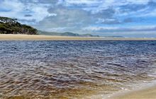 Papatowai walks