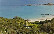 Motukawanui Island Track 