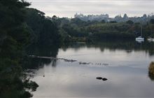 Kerikeri River Track