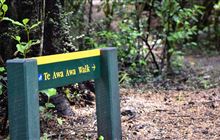 Te Awa Awa Walk