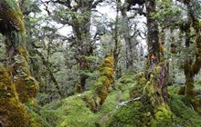 Deadmans Track