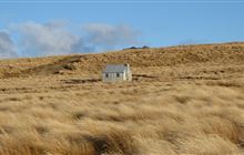 Wire Yards Hut