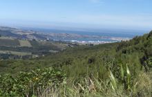 Leith Saddle Track