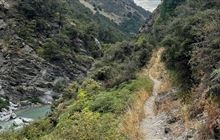 Lower Tīmaru River Track