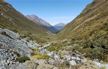 Steele Creek Track