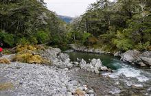 Nina Valley Track