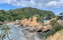Tutukaka Head tracks