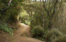 Outram Glen to Lee Stream Walk