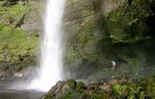 Mount Damper to Te Rerepahupahu Falls track