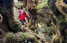 Neill Forks to Maungahuka Track
