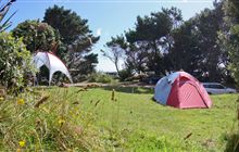 Camping: Things to do