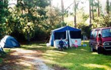 Puketi Recreation Area Campsite - Overland Navigator