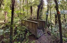 Mangaotaki Walk