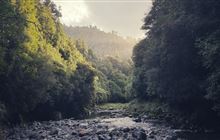 Ohau Gorge Track