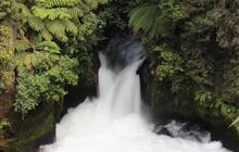 Ōkere Falls Track