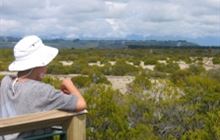 Wilderness Lookout Walk