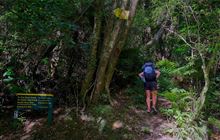 Waiopehu Track (Poads Road to Waiopehu Hut)