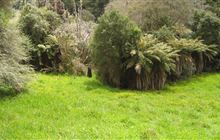 Johnsons Campsite